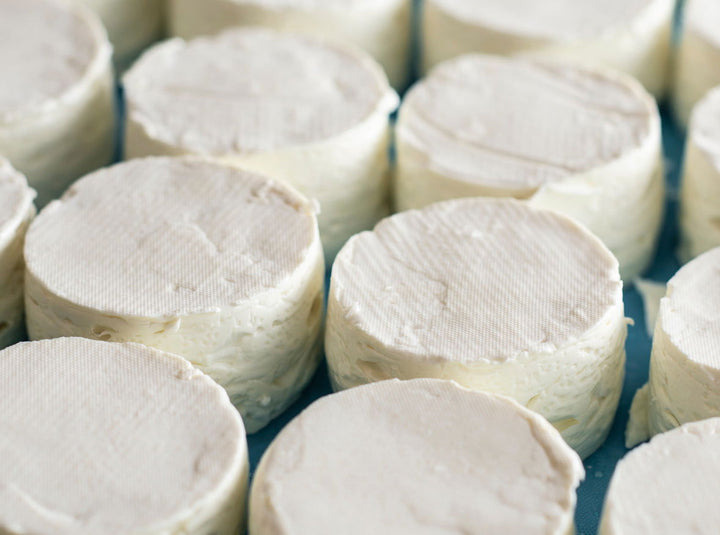 Burraduc Buffalo farmhouse Dolce Nina (fresh buffalo curd)