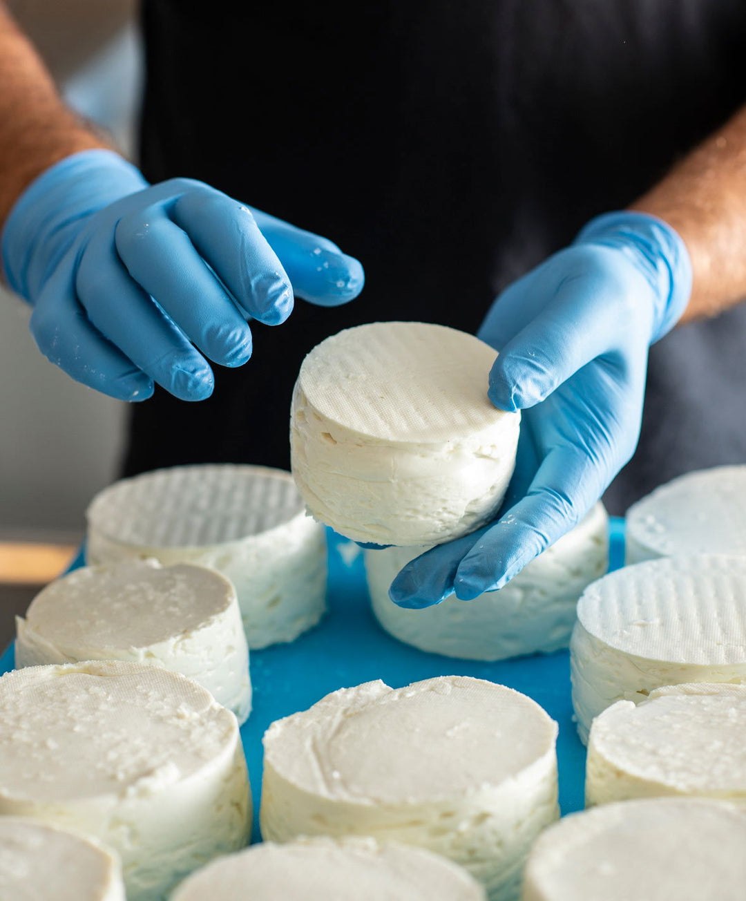 Burraduc Buffalo farmhouse Dolce Nina (fresh buffalo curd)