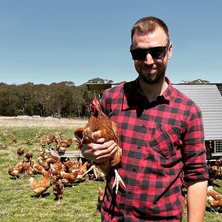 Pastured eggs - dozen