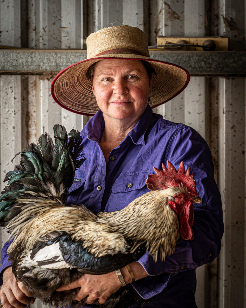 Sommerlad heritage chicken whole