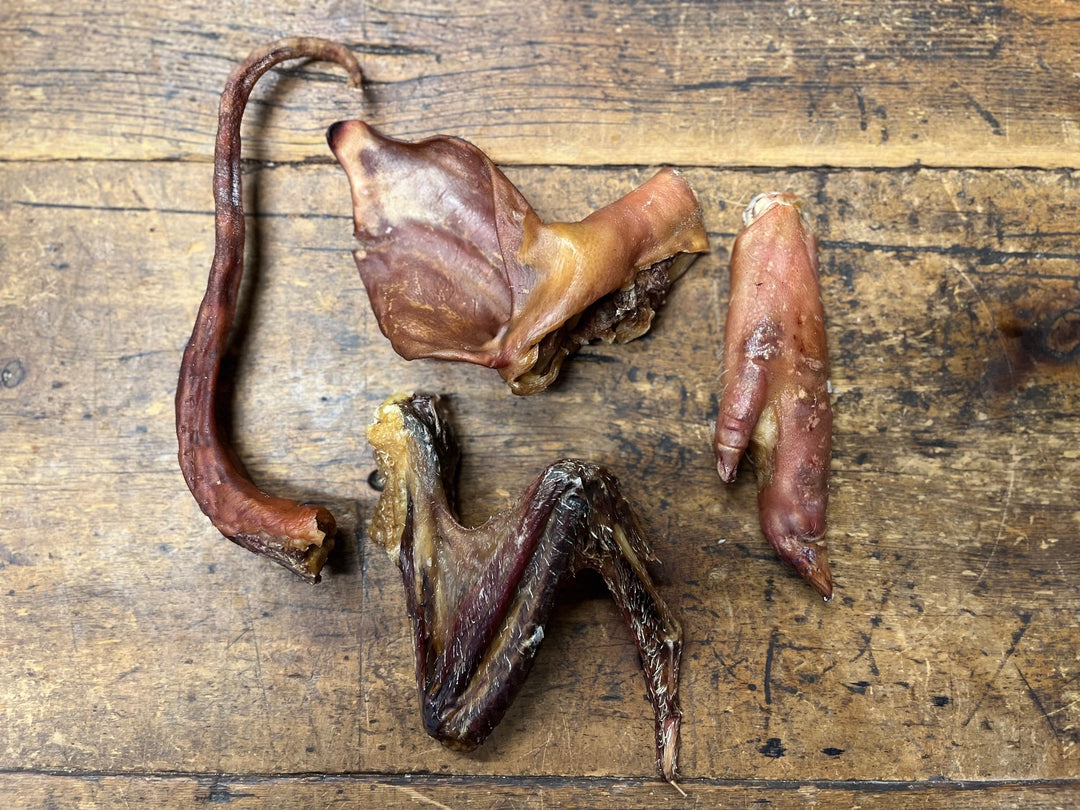 Lucky Dip Dog Pack!