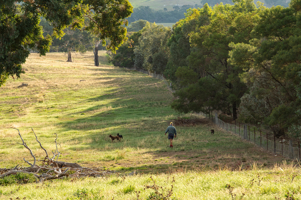 Drought report: Moorlands Farm, November 2018