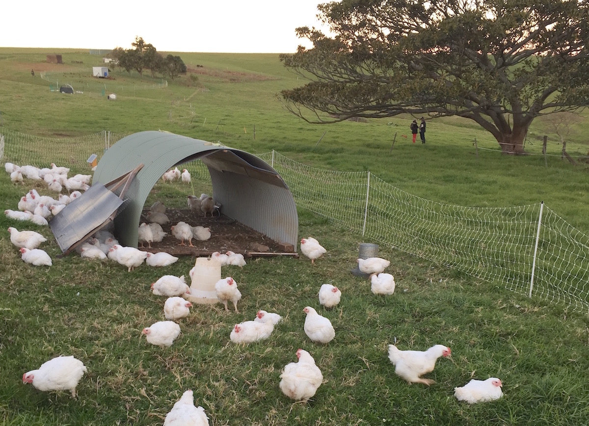 The mystery of the anonymous farmer