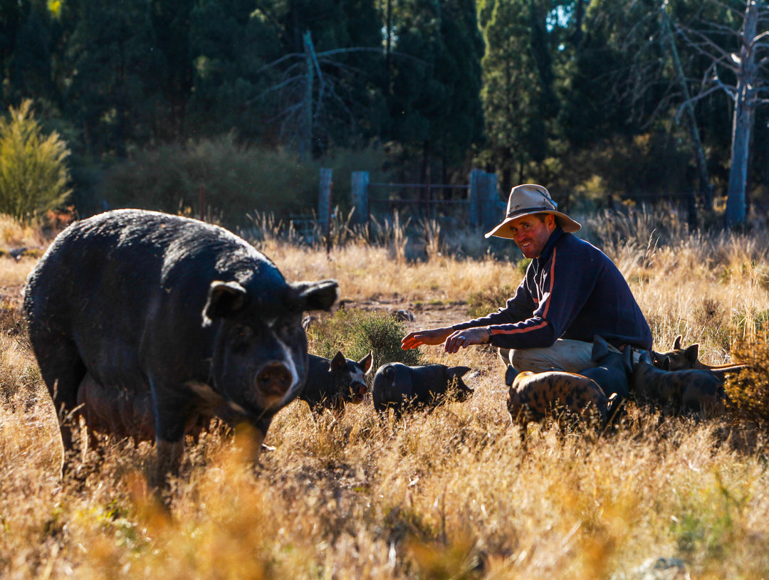 Drought report: Extraordinary Pork, November 2018