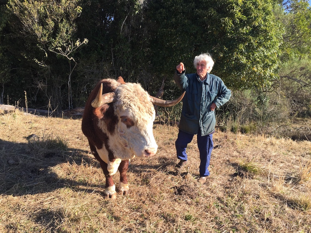 Mr Bone's road trip: 2,400 km, 11 farms