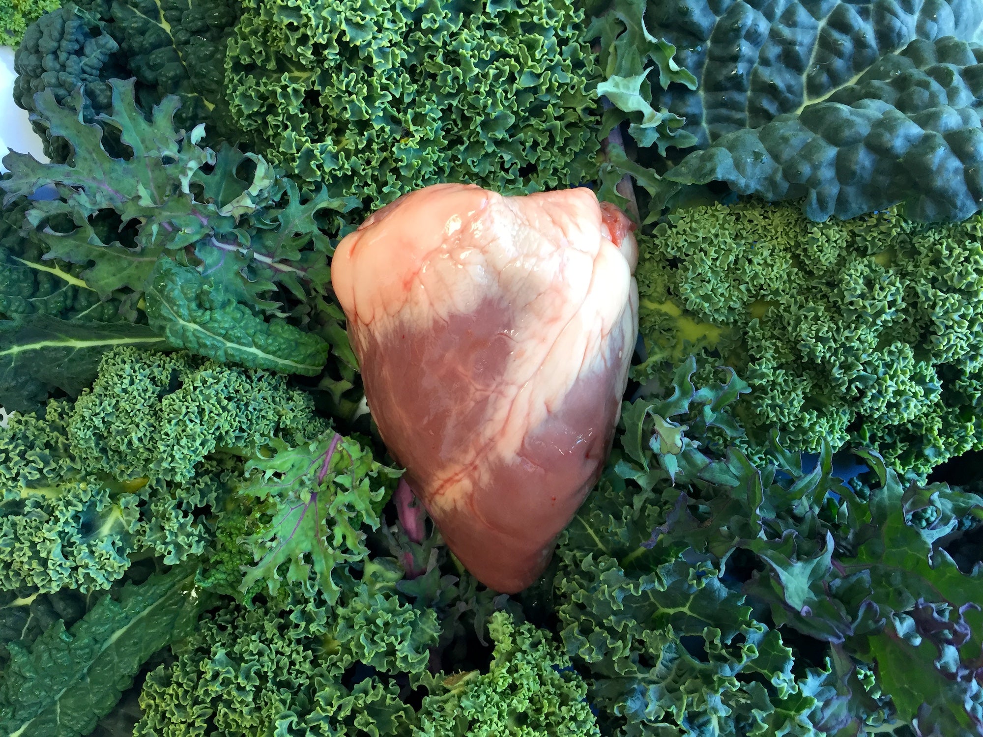 Awesome offal! – Feather and Bone Butchery