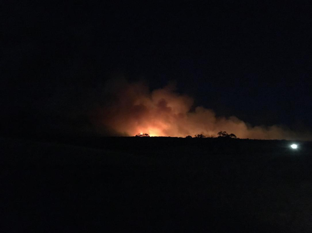 Report from a fire-ravaged farm: The aftermath at Gundooee organic Wagyu farm