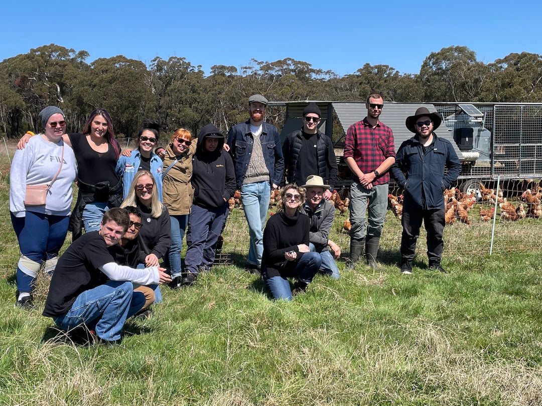 Staff farm trip to Mussett Family Farm