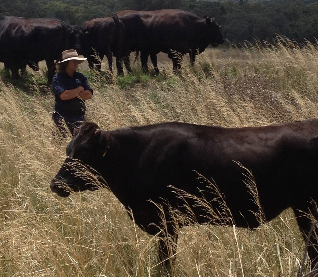 How much water does it take to grow beef?