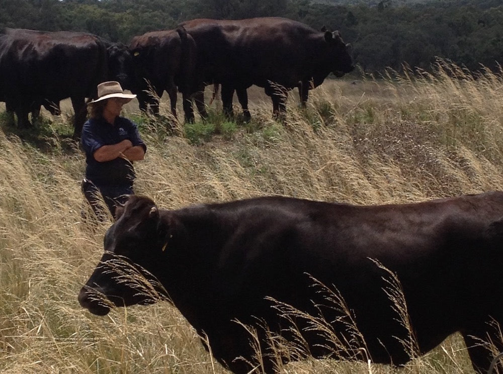 We're proud to be slow: a rare offering of 3-4 year-old Gundooee Organic Wagyu