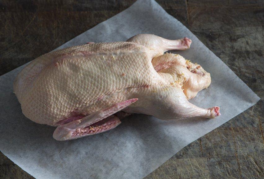 Aylesbury-Pekin pastured duck whole