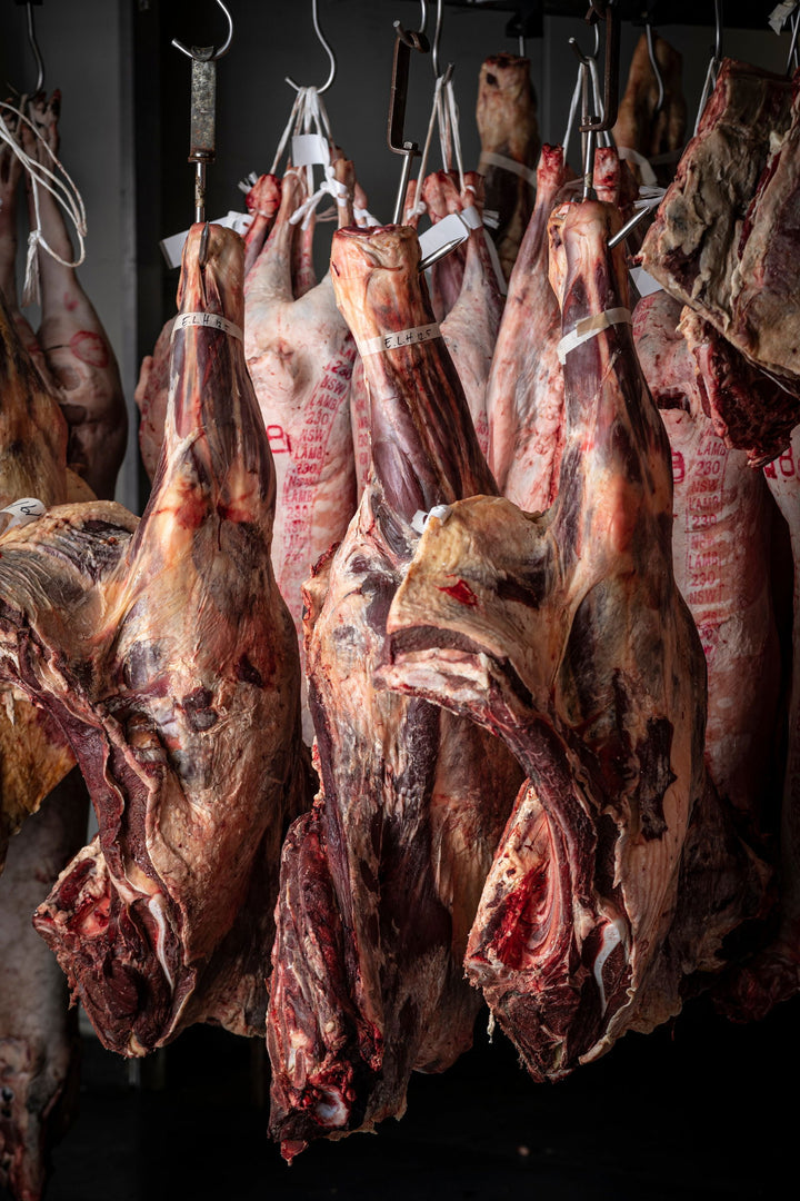Beef Breaking Demo Class 21/06/2025