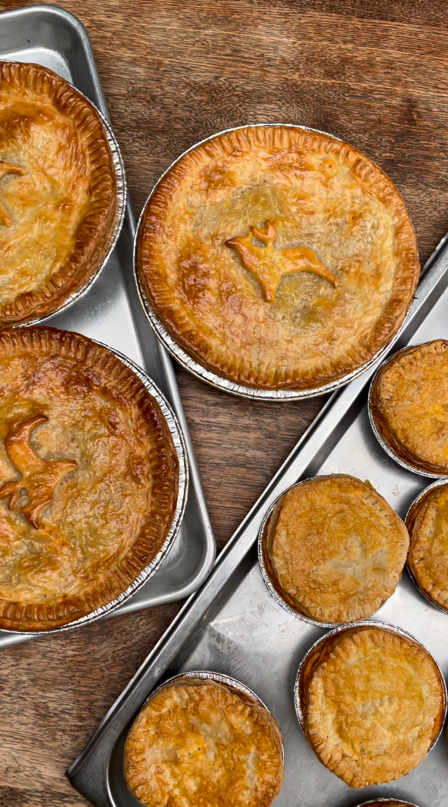 Lamb Ragù Family Pie