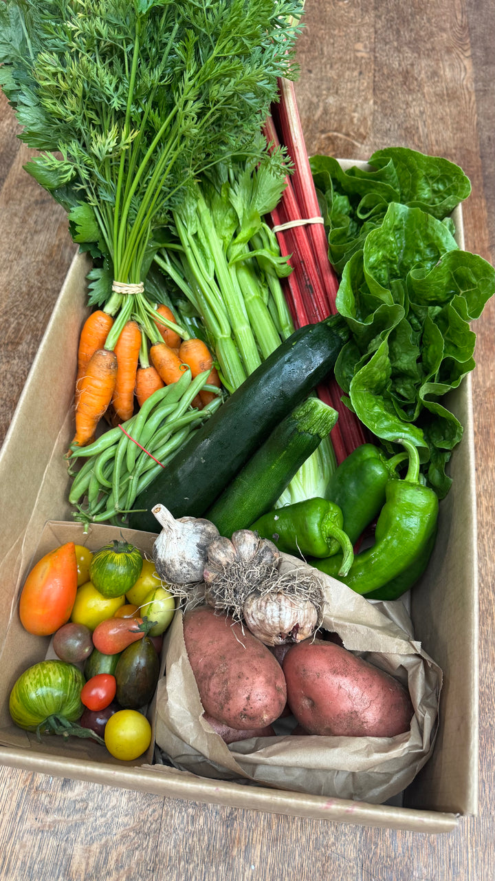 Vegetable Box | Mussett Holdings Regenerative Farm