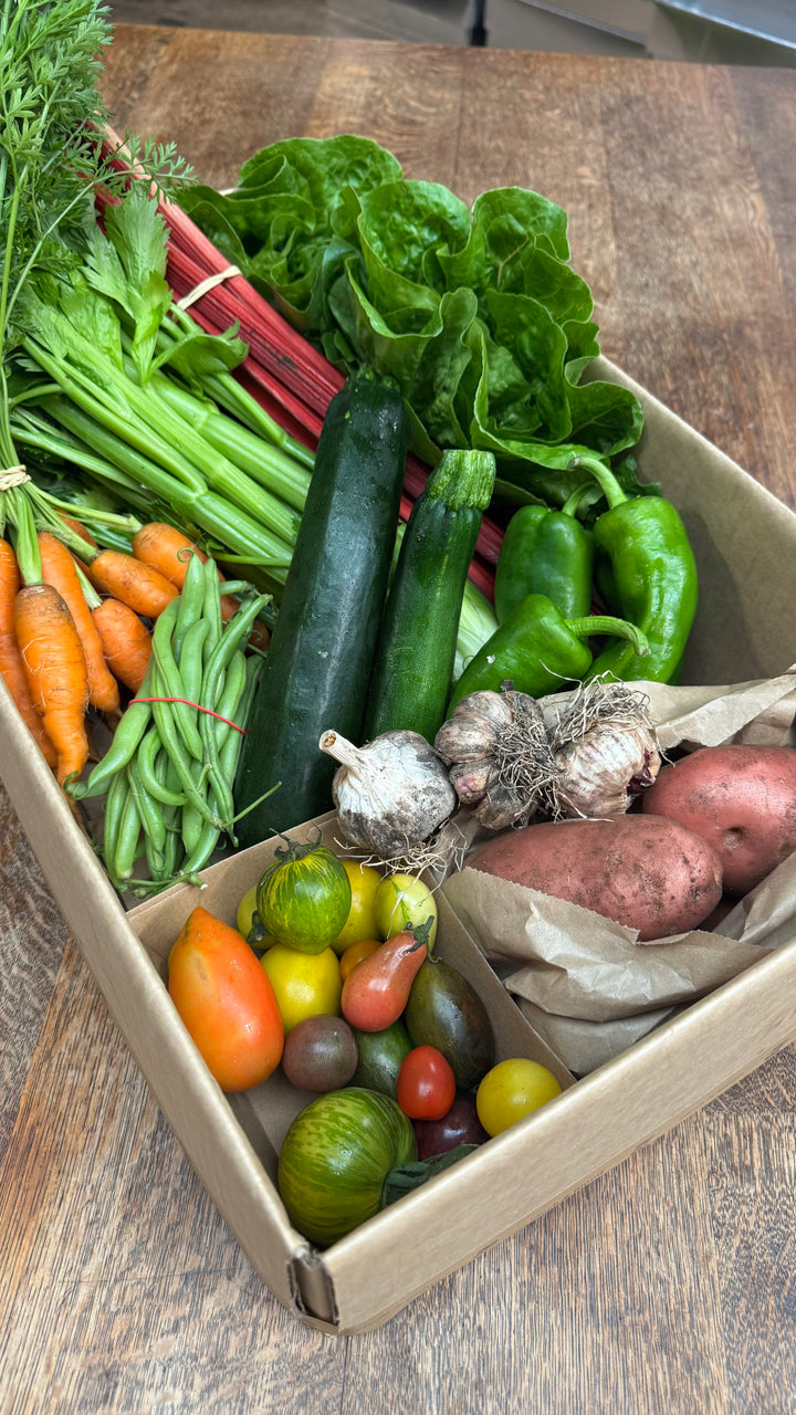 Vegetable Box | Mussett Holdings Regenerative Farm