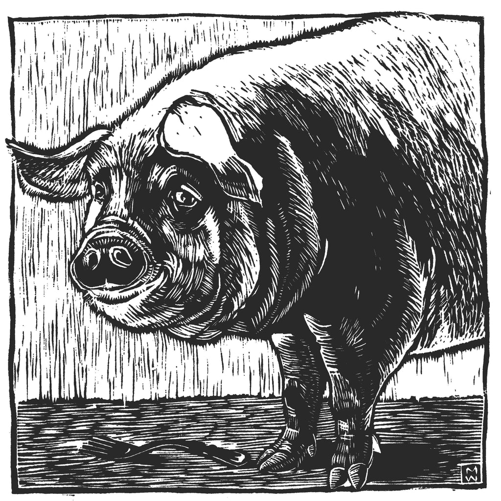 Teatowel - heritage pig w Mirra Whale