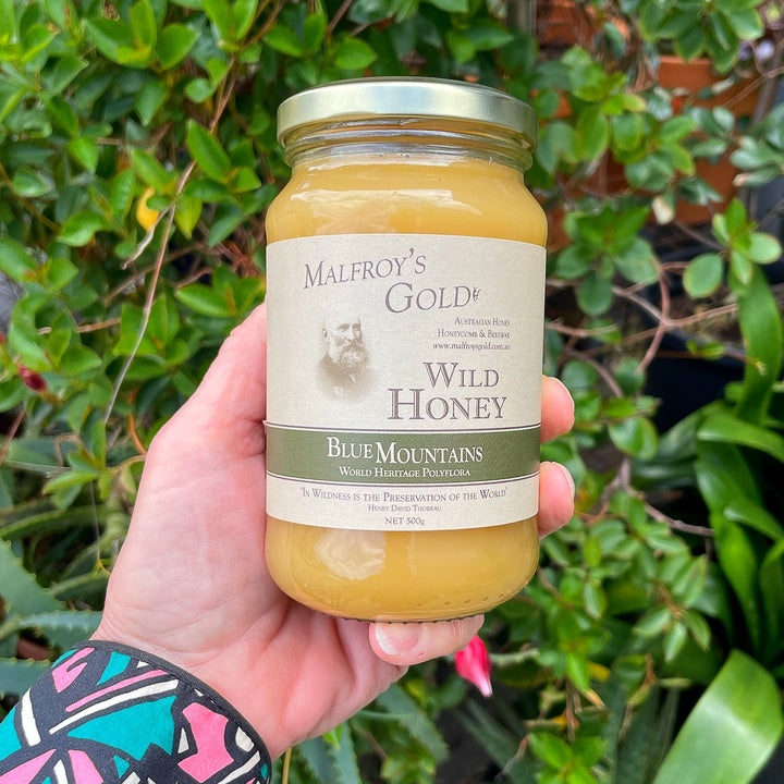 Malfroy's Gold Wild Honey: Blue Mountains Polyflora