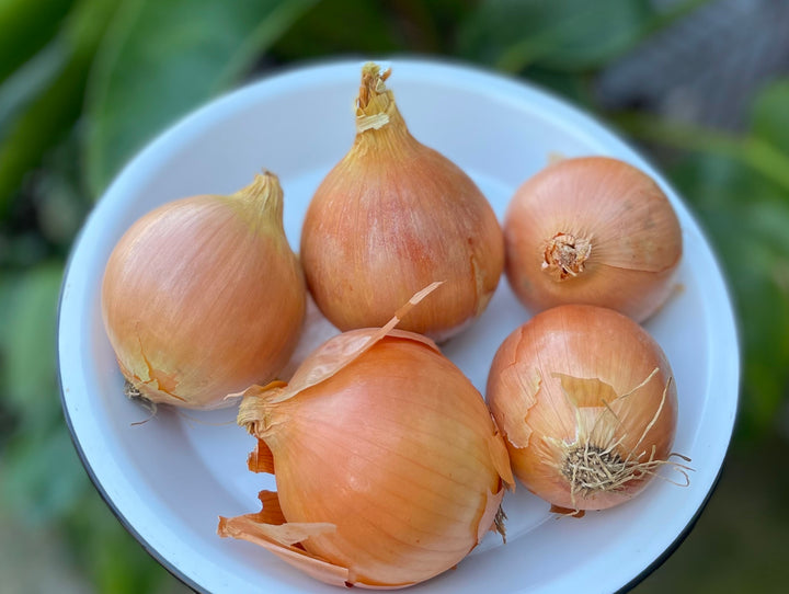 Organic Brown Onions 1kg - Block 11