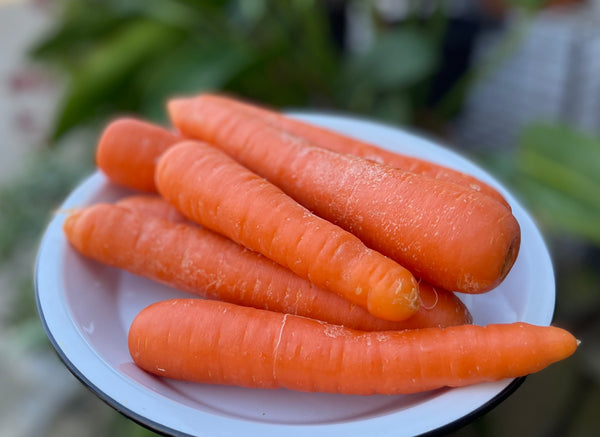 Organic Carrots - Block 11