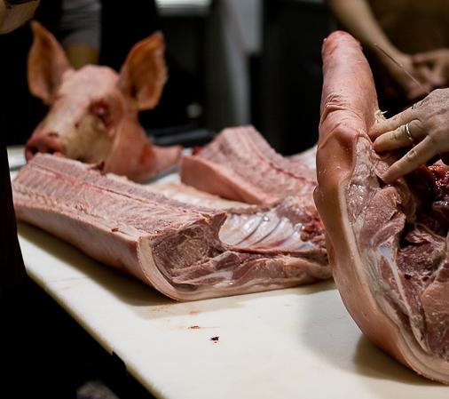Whole Animal Butchery Class: Pig 27/01/2024