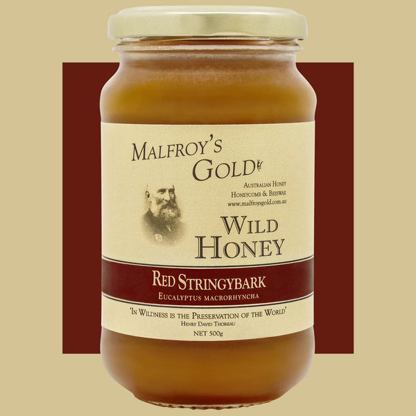 Malfroy's Gold Wild Honey Red Stringybark
