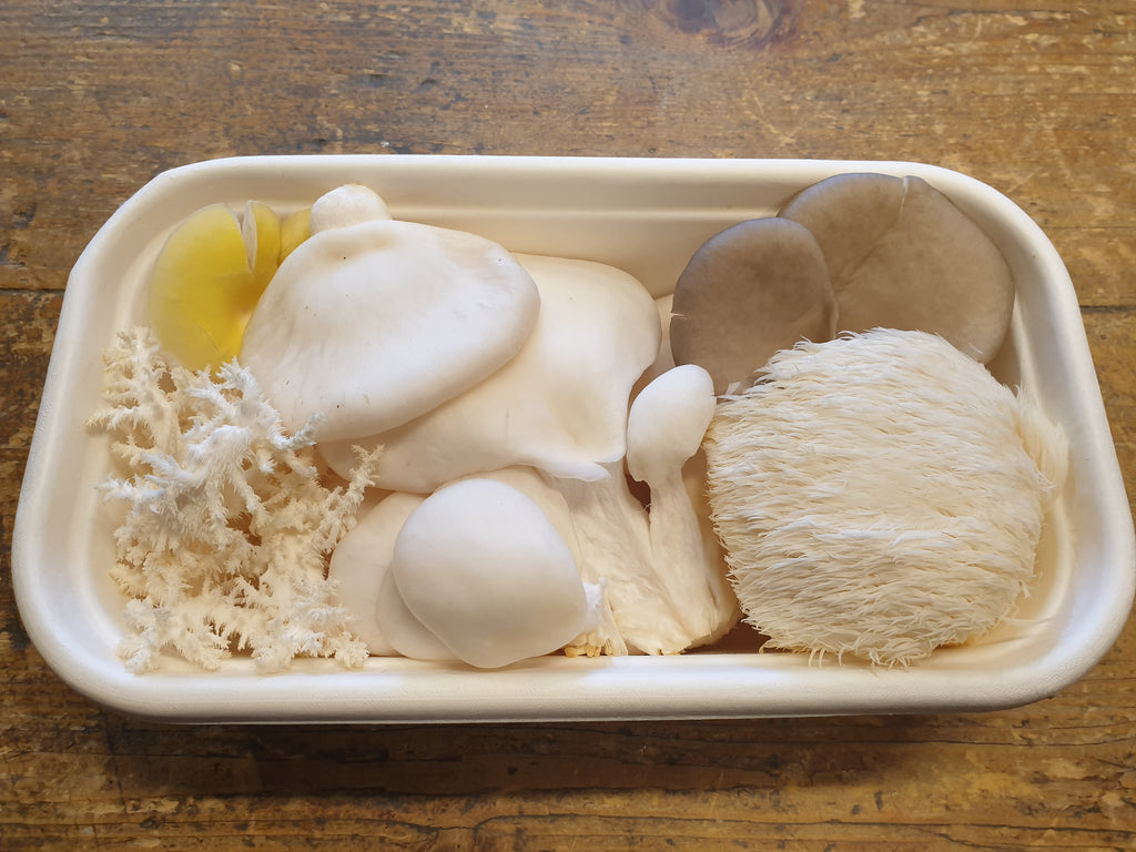 Mussett Mushrooms mixed pack