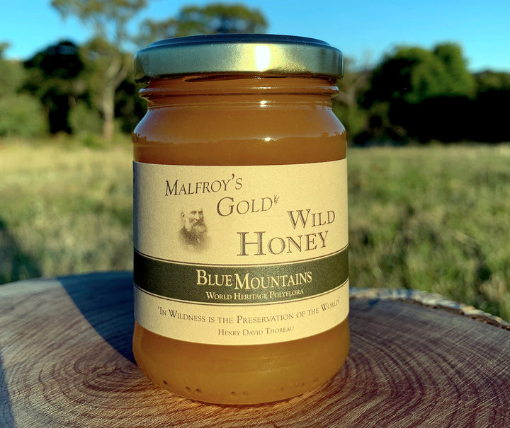 Malfroy's Gold Wild Honey: Blue Mountains Polyflora