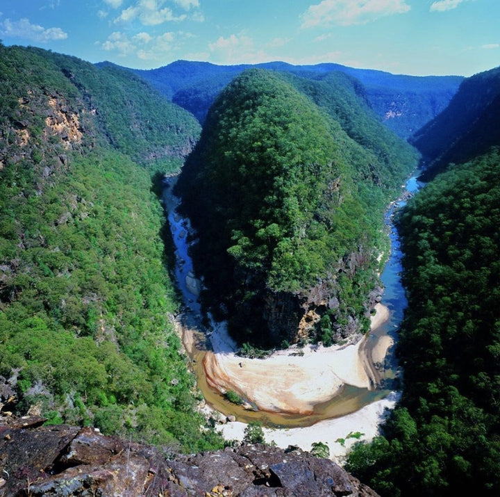 Malfroy's Gold Wild Honey: honeycomb Warré frame, 300 gm