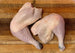 Sommerlad heritage chicken maryland - pair