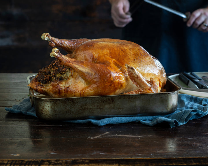 Deutscher pastured broad-breasted turkey
