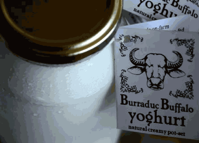 Burraduc Buffalo yoghurt 500 gm